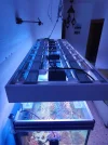 [TodoMarino.com] Nuevo 450l desde el 90l