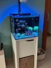 [TodoMarino.com] Acuario waterbox cube 20