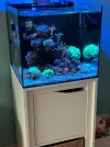[TodoMarino.com] Acuario waterbox cube 20