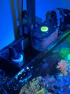 [TodoMarino.com] Acuario waterbox cube 20