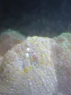 [TodoMarino.com] Desmonto acuario