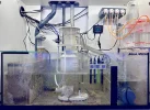 [TodoMarino.com] Venta acuario completo