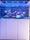 [TodoMarino.com] Venta acuario completo