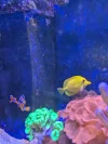 [TodoMarino.com] Peces en Madrid