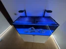 [TodoMarino.com] VENDO JUMPGUARD RED SEA A MEDIDA – WATERBOX MARINE X 110.4
