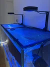 [TodoMarino.com] VENDO JUMPGUARD RED SEA A MEDIDA – WATERBOX MARINE X 110.4