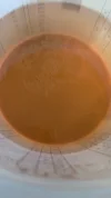 [TodoMarino.com] Algas naranjas por todo!