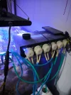 [TodoMarino.com] Vendo acuario marino 300L + Sump,completo todo 700€