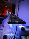 [TodoMarino.com] Vendo acuario marino 300L + Sump,completo todo 700€