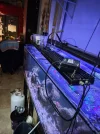 [TodoMarino.com] Vendo acuario marino 300L + Sump,completo todo 700€