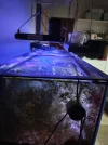[TodoMarino.com] Vendo acuario marino 300L + Sump,completo todo 700€