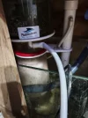 [TodoMarino.com] Vendo acuario marino 300L + Sump,completo todo 700€