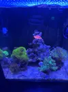 [TodoMarino.com] Vendo Acuario con todo Nano WaterBox Cube 10 escucho ofertas