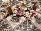 [TodoMarino.com] Roca viva