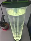 [TodoMarino.com] Reactor fitoplancton/rotífero