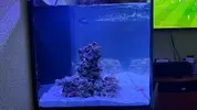 [TodoMarino.com] Mi primer Proyecto marino