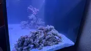 [TodoMarino.com] Mi primer Proyecto marino