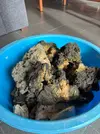 [TodoMarino.com] Vendo 20kg reef rock y 16kg arena blanca