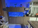 [TodoMarino.com] Vendo por mudanza, acuario y habitantes 450l liquidación total
