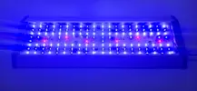 [TodoMarino.com] Pantalla LED Aquamedic Aquarius 60 (modelo 2018) para  reef