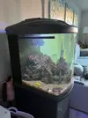 [TodoMarino.com] [VENDIDO] Desmonto, vendo: Acuario marino Sera 130L completo + mueble + equipo