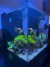[TodoMarino.com] Vendo por desmonte de acuario marino tipo Nano Waterbox Cube 10 funcionando y super equipado