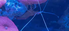 [TodoMarino.com] Vendo acuario de 340 litros.