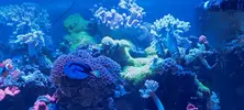 [TodoMarino.com] Vendo acuario de 340 litros.