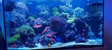 [TodoMarino.com] Vendo acuario de 340 litros.