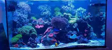 [TodoMarino.com] Vendo acuario de 340 litros.