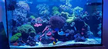 [TodoMarino.com] Vendo acuario de 340 litros.