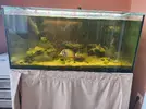 [TodoMarino.com] Vendo acuario de 300 litros con accesorios, por desmonte (Málaga)