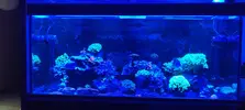 [TodoMarino.com] Nuevo 450l desde el 90l