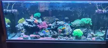 [TodoMarino.com] Nuevo 450l desde el 90l
