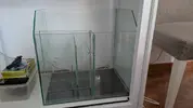 [TodoMarino.com] Vendo urna 230 litros + mesa a medida + sump (ready sump 52 de Blau) en Yuncos (Toledo)