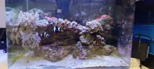 [TodoMarino.com] Acuario completo