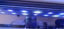 [TodoMarino.com] Acuario completo