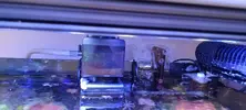 [TodoMarino.com] Acuario completo