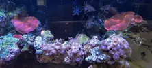 [TodoMarino.com] Acuario completo