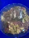 [TodoMarino.com] 30Kg de Roca Viva BCN y envíos VENDIDA!