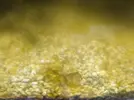 [TodoMarino.com] Agua marrón... Ayuda!!!