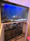[TodoMarino.com] Acuario 200L + Mueble acero + Sump