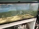 [TodoMarino.com] Por desmonte vendo  Acuario Beta y Mesa