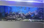 [TodoMarino.com] Desmonto acuario de 450L completo y funcionando