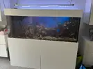 [TodoMarino.com] Desmonto acuario de 450L completo y funcionando