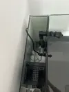 [TodoMarino.com] Empezamos con acuario 80L