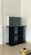 [TodoMarino.com] Empezamos con acuario 80L