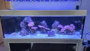 [TodoMarino.com] PANTALLA EVERGROW LED IT-5080B configuracion para mi acuario