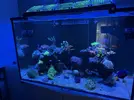 [TodoMarino.com] Duritos Reef Waterbox Marine X 90.3