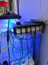 [TodoMarino.com] Vendo acuario, pantalla led, skimmer, peristáltica, todo el acuario completo